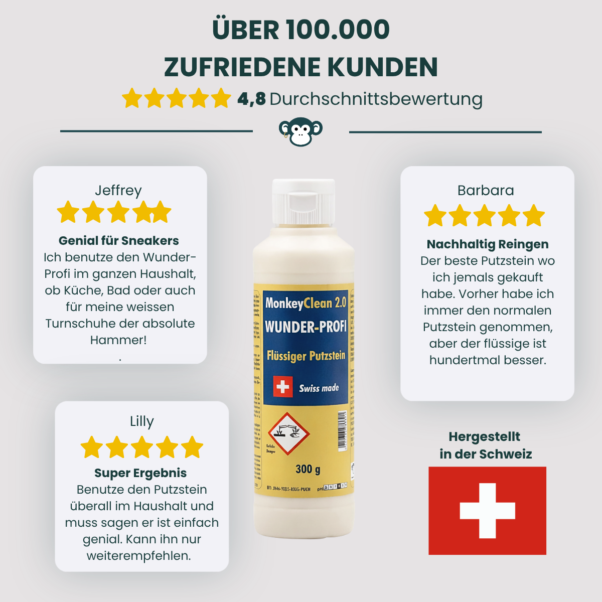 MonkeyClean® Wunder-Profi – Flüssiger Putzstein 300g